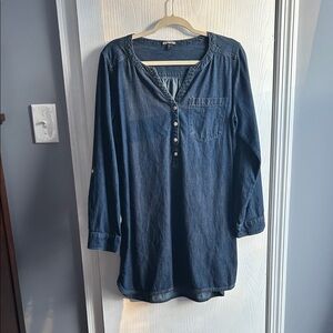 Express Denim dress